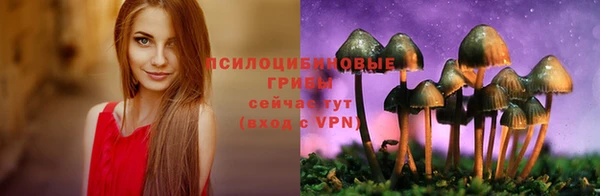 метамфетамин Богданович