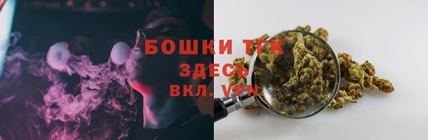 mdpv Богородицк