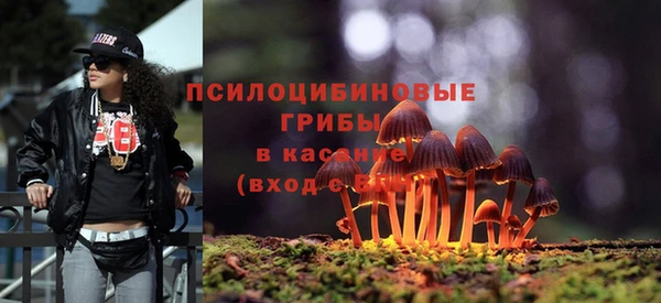 метамфетамин Богданович