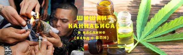 mdpv Богородицк
