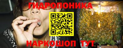 2c-b Заводоуковск